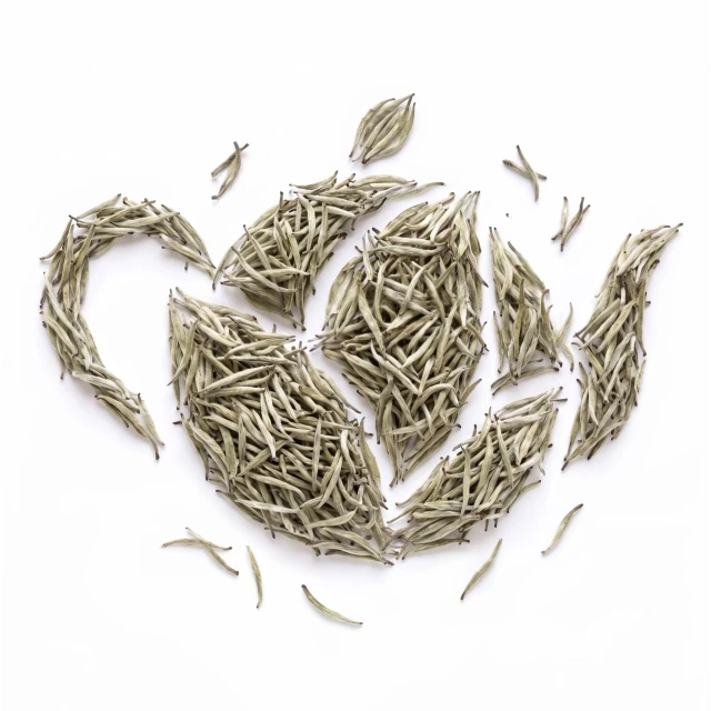 Silver needle prawdziwy