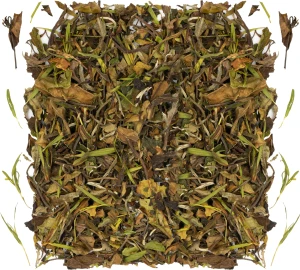 Pai mu Tan z bambusem
