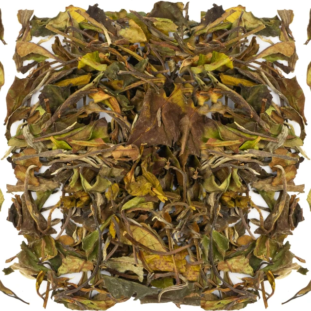 Pai mu Tan