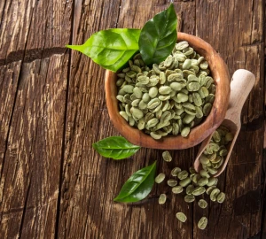 Kawa robusta ZIELONA Brazylia Conilon 500g ZIARNO