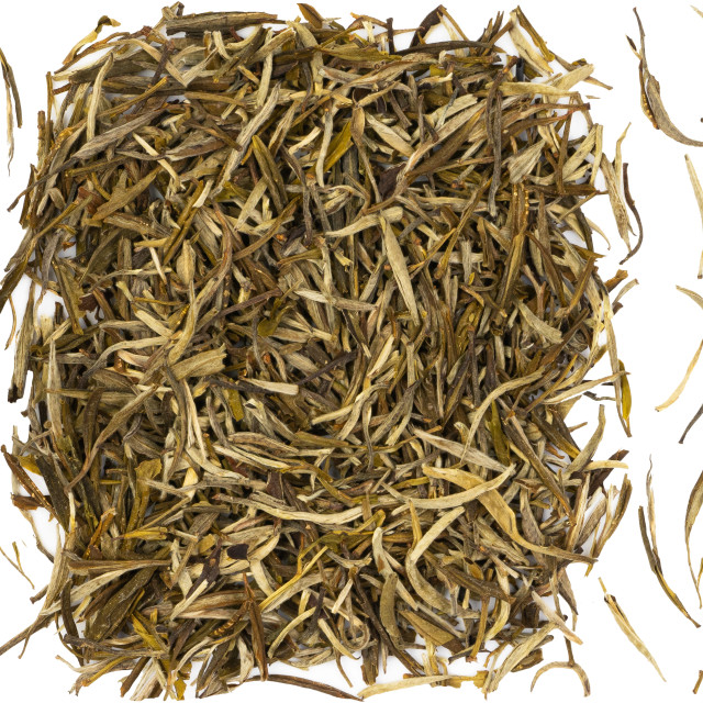 Silver needle prawdziwy